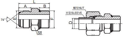 201902221517541792293 201902221517541792293