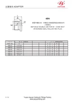 BSP Hollow Hex Plug Bonded Washer