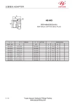 BSP Male Captive Seal Plug