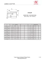 BSPT To NPT Adapters