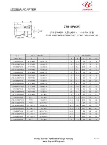 Male BSPT Female BSPP Swivel Cone OR