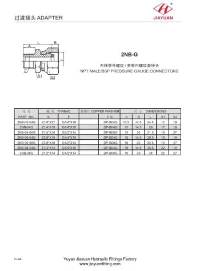 NPT Male BSP Pressure Gauge Fittings