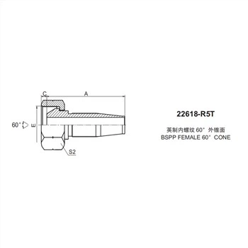 BSP FEMALE 60° CONE 22618-R5T